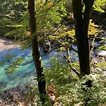 Ciao-aschau Haus Zur Burg Ap112 Burgblick Apartamento *