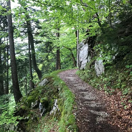 Ciao-aschau Haus Zur Burg Ap112 Burgblick * アシャウ・イム・キームガウ