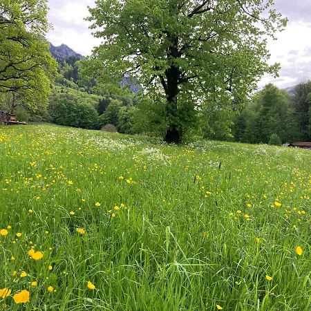 アパート Ciao-aschau Haus Zur Burg Ap112 Burgblick アシャウ・イム・キームガウ