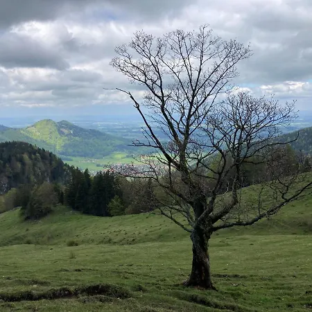 アパート Ciao-aschau Haus Zur Burg Ap112 Burgblick